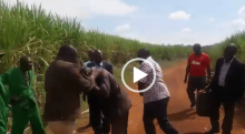 Video of MP Benjamin Washiali Raining Blows and Kicks On Man Goes Viral