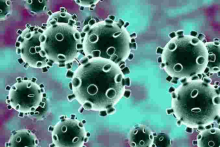 Coronavirus Cases in Kenya Jump to 7 as 3 More People Test Positive