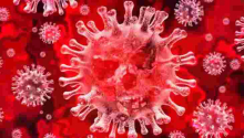 7 African Countries with Zero Covid-19 Cases 