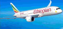 Two Italian Nationals Denied Entry into Kenya amid the Coronavirus Pandemic, Flown Back to Ethiopia