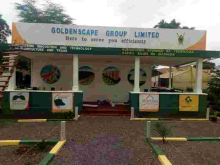 Detectives Raid Goldenscape Offices in Nairobi, Seize 10 Computers 