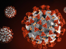 Africa's First Coronavirus Death Recorded in Egypt