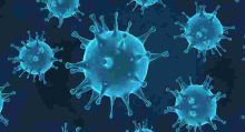 Two More Patients Killed by Covid-19 in Kenya as Cases Rise to 270