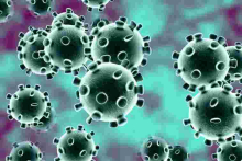 French Doctor Apologizes for Suggesting Covid-19 Treatment Be Tested in Africa