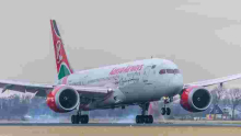 KQ Flight Evacuates 165 Kenyans from China 