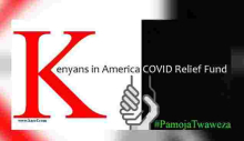 A Timely Initiative Helping Kenyans in America Hard Hit by Covid-19