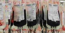 Kenyans Online Reject Government’s Appeal for Blood Donation