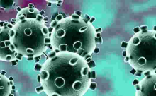 Kenya Records Highest Single-Day Covid-19 Deaths and Infections 