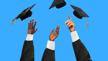 Kenya Launches Crackdown on Foreign Students with Fake Documents and Qualifications 
