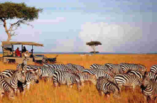 Kenya Becomes First Country Globally to Receive 'Safe Tourism Seal' Award