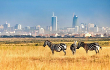 Nairobi National Park Expanded by 49,000 Acres 
