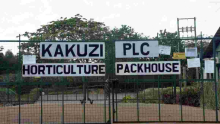 More UK, German Retailers Cut Avocado Supplies by Kenyan Producer Kakuzi