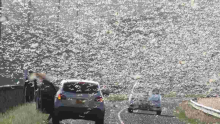 Kenya Warned of Second Wave of Desert Locusts Infestation in November 