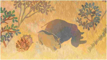 Google Doodle Pays Tribute to Iconic Rhino Who Died in Kenya 