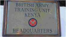 320 British Soldiers in Kenya Placed Under Isolation After Four Test Positive for COVID-19 