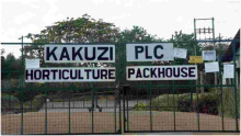 UK Company Pays 85 Kenyans Sh696 Million for Human Rights Violation 