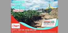 Affordable Investment Plots Available