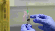 Kenya’s Decision to Offer Free COVID-19 Jabs to Nairobi-Based Expatriates Angers Medics 