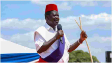 Coca-Cola Sued for Destroying Sacred Fig Tree Planted by Raila 7 Years Ago 