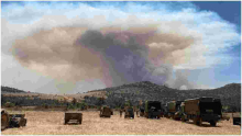 Probe Opened After 5 Elephants Killed by Fires Started by British Soldiers Training in Kenya