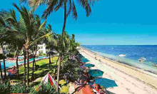 Boost for Kenya’s Tourism as Plane Carrying 189 Foreign Tourists Lands in Mombasa 