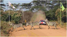 Nakuru Hotels Report 100% Bookings Courtesy of WRC Safari Rally Event