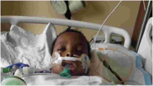 American Family Appeals for Funds as Son Falls Ill While Holidaying in Kenya 