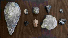 Uproar as Kenya Controversially Ships 145 Ancient Fossils to France