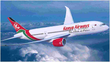 MPs Back Decision to Amend US-Kenya Air Transport Agreement