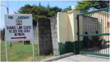 Woman Caught on CCTV Sprinkling White Powder Outside Magistrate's Office in Mombasa 