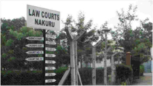 Kenyan Couple in Bitter Court Battle over Children's Relocation to the US 