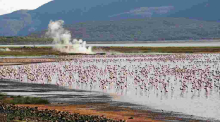Baringo Set to Become Kenya's First Geopark and Third in Africa 