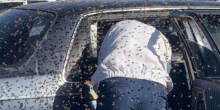 KRA Pays Tribute to its Tax Investigator Stung to Death by Bees 