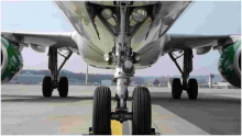 Stowaway Survives 11-Hour Flight from South Africa to Amsterdam via Nairobi 