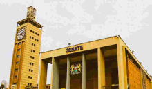 Senators Approve a Bill Seeking to Encourage Kenyans in Diaspora to Invest Back Home