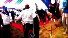 Snake Causes Commotion at Wiper Leader Kalonzo Musyoka's Meeting 