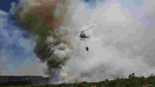 Fire Destroys 16,000 Acres of Mt Kenya Forest