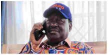 Raila Wins Diaspora Vote in 10 Countries Including US, UK, UAE, Germany, Canada and South Africa 