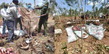 Two Arrested After Police Raid an Illegal Donkey Abattoir in Kiambu