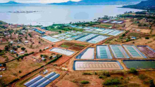 New List of Kenya's Little-Known Firms Earning Billions Revealed