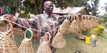 Why Quail Hunting Remains Popular in Western Kenya