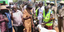 Ruto and Gachagua Acquire 1,000 Goats for Sh15 Million at Kimalel Goat Auction