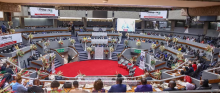Strategies for Government to Leverage Diaspora Beyond Financial Contributions