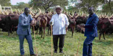 Ruto-Odinga Meeting Sparks Speculation of Political Truce