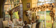 Kenyan Hotel Giraffe Manor Ranked Among the World's Top Instagrammable Hotels