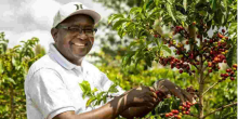 How Minneapolis Startup Uplifts Kenyan Coffee Farmers 