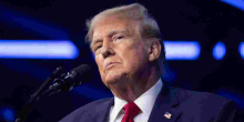 Trump Proposes 'Automatic' Green Cards for International Students Graduating in the US