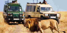 Kenya's Tourism Revenue Soars to All-Time High of Sh352 Billion