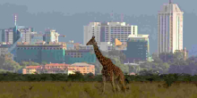 Nairobi Climbs to 4th Place in Africa's High-Rent City Rankings
