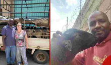 Wall Street Pro Turns to Dorper Sheep Farming in Kenya